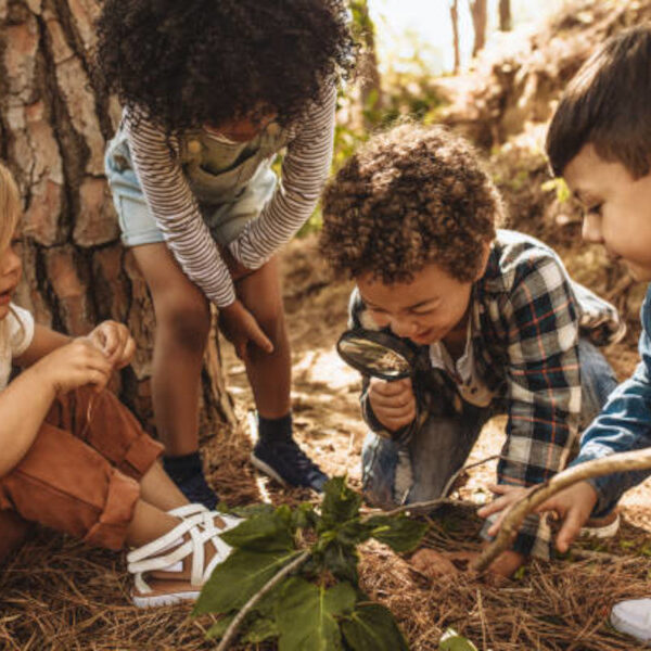 Children in forest looking at leaves as a researcher together with the magnifying glass.